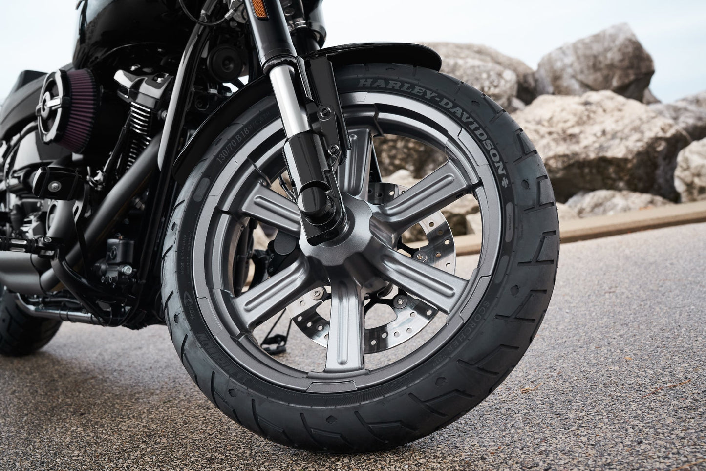 Harley-Davidson Dyna/Softail/Touring/Sportster/V-Rod 2000-2007 Ceramic Brake Pad Set